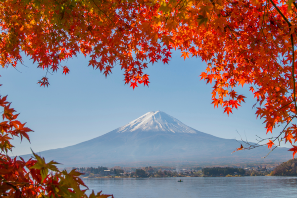 Autumn Marketing in Japan: Traditions and Festivals